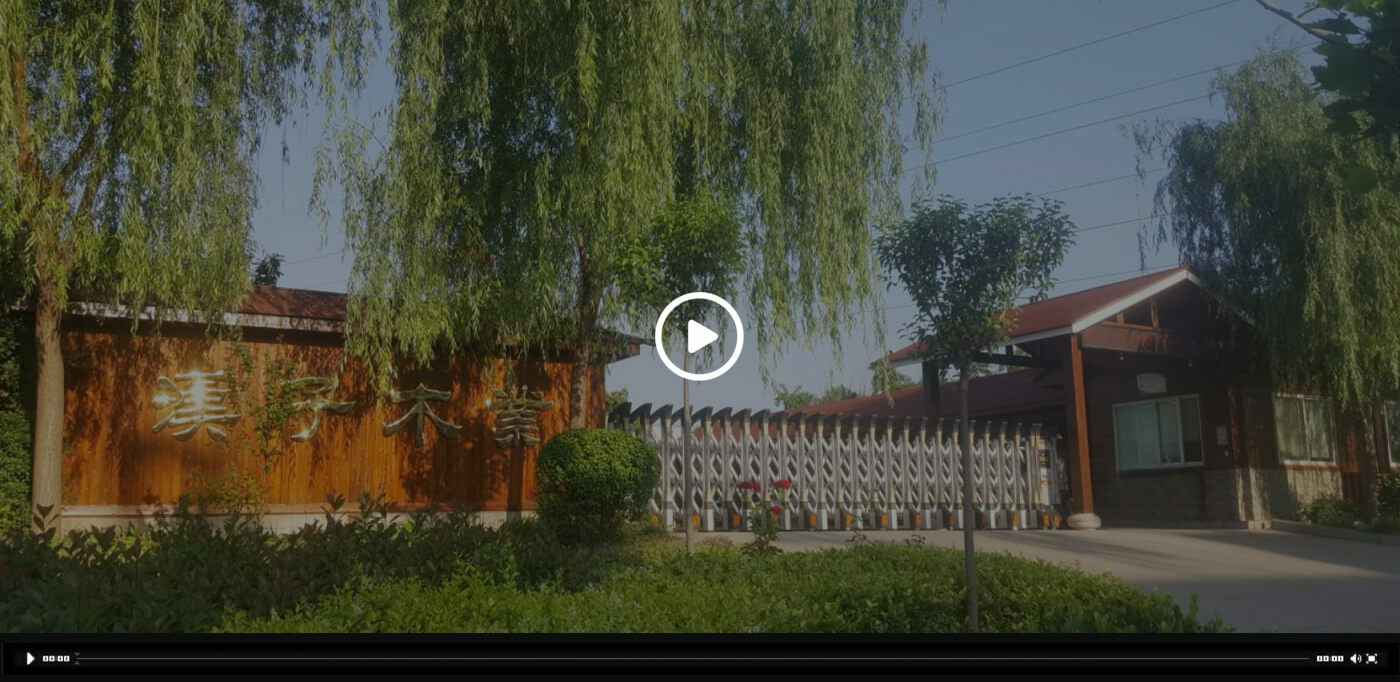 球盟会登陆官网-球盟会(中国)